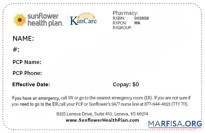 Downloadable Kansas health insurance card example